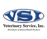 VSI